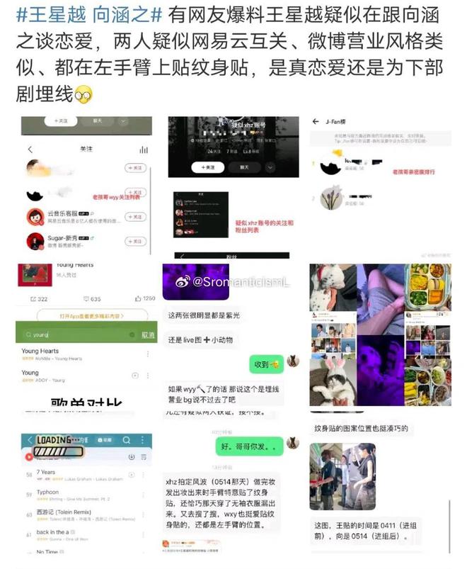 全红婵晒训练照，坚韧与热爱，铸就跳水梦