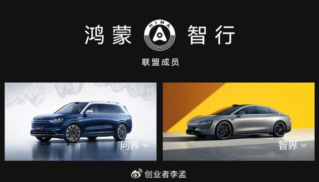 洞庭湖畔的麋鹿,面对涨水的生存挑战与智慧应对-洞庭湖涨水栖息地被淹 麋鹿上岸躲避