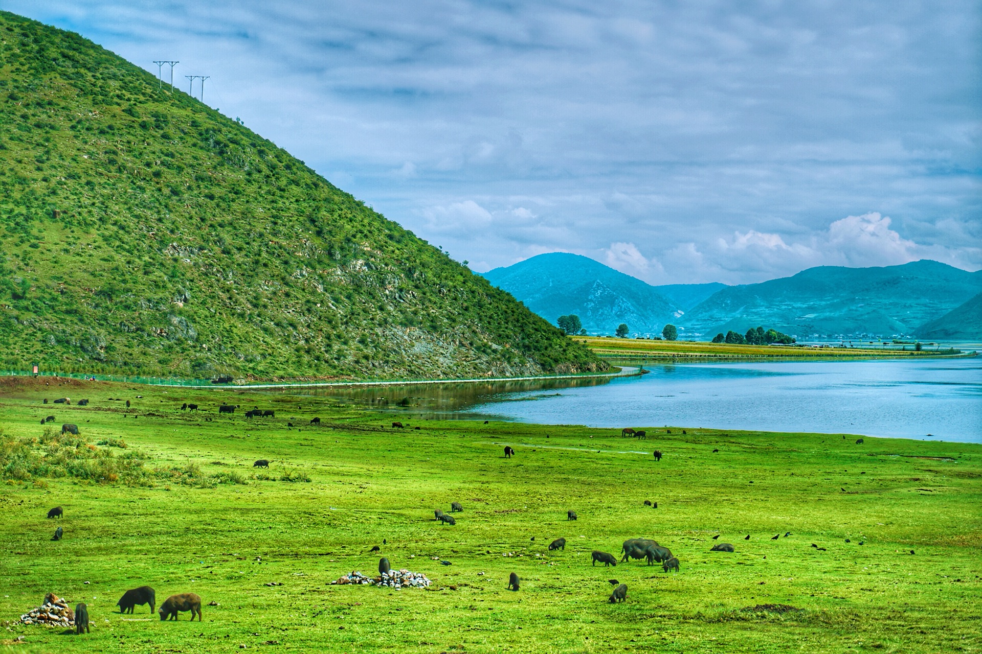 香格里拉有哪些著名景点，香格里拉必游景点推荐|松赞林寺|纳帕海|香格里拉_新浪新闻