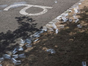 揭秘2024年一本录取线背后的故事与挑战-2024年一本录取线